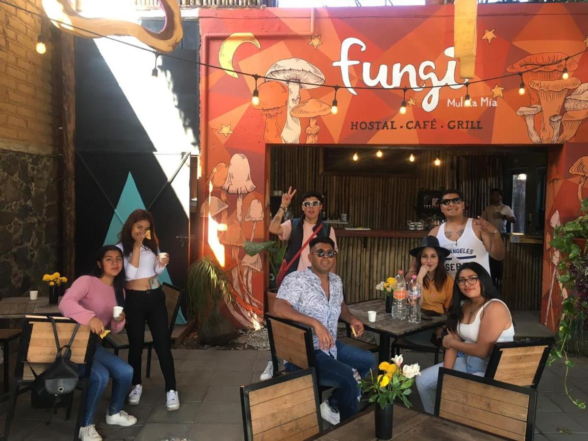Fungi Tipis Hotell Tepoztlán Exteriör bild